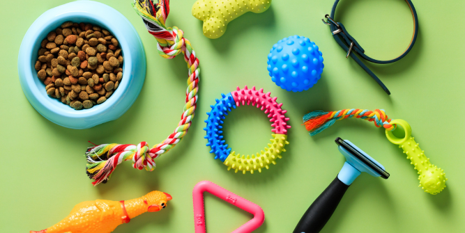 Top 5 Essential Dog Care Products Every Pet Parent Should Have