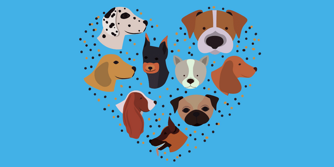 Pros and Cons of Male and Female Dogs