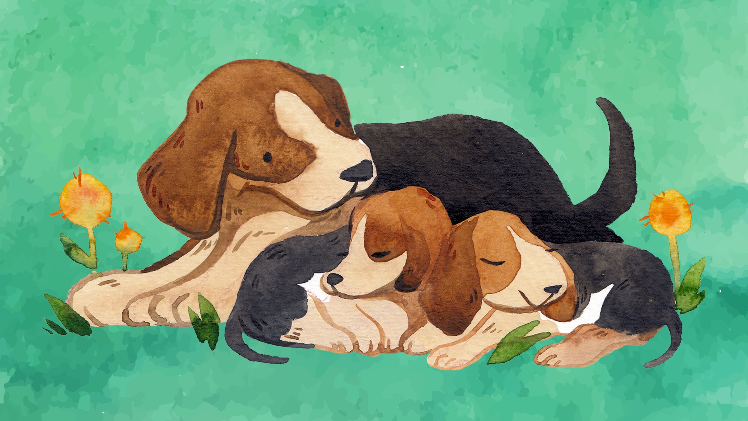 The perfect age to get a Pet