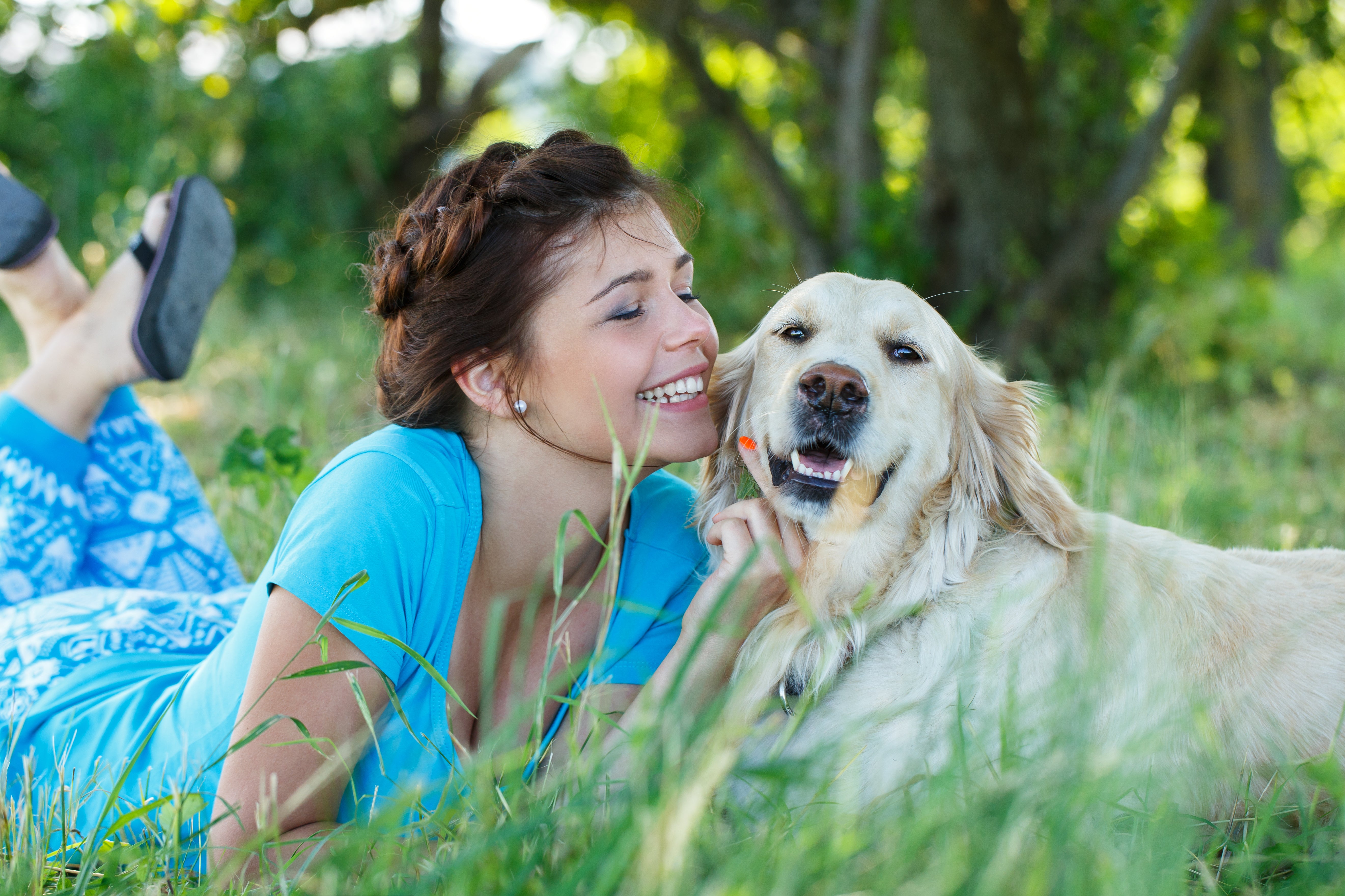 best summer care tips for dog