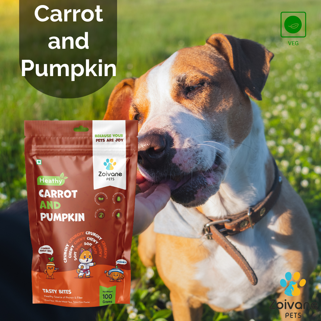 Healthy Carrot & Pumkin Biscuits