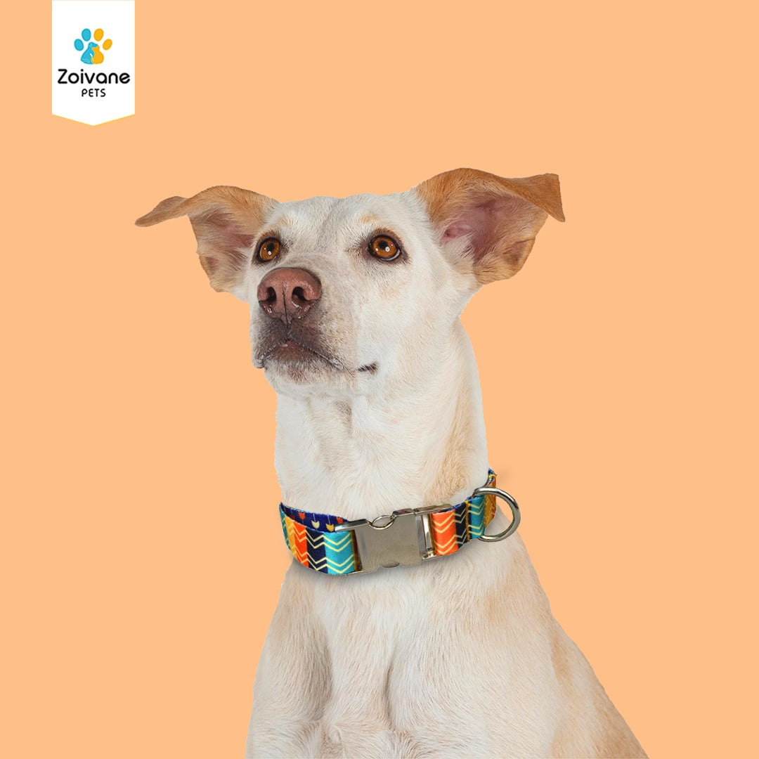 Zoivane Pets Printed Collar for Dogs | Size L| ( print patterns may vary)