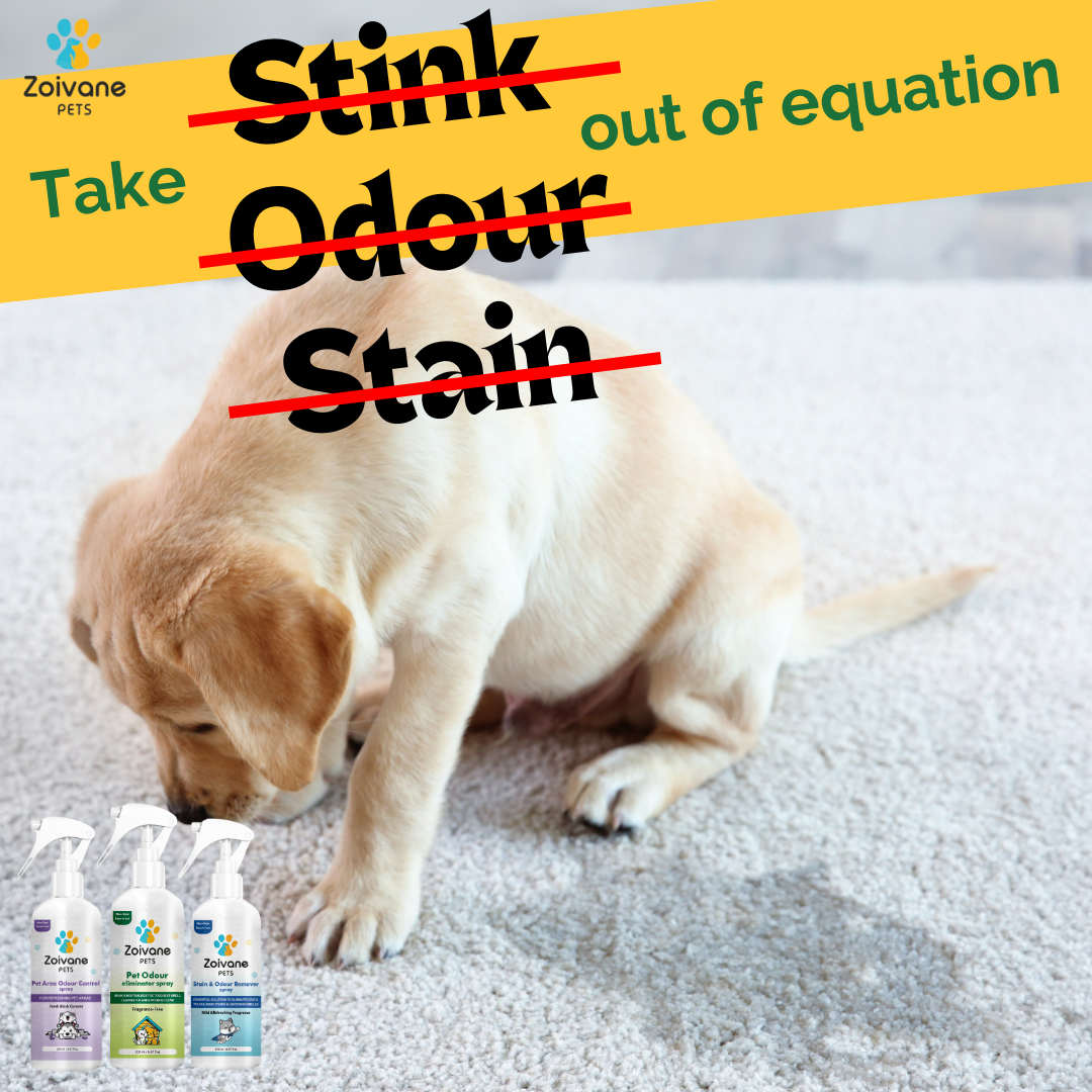 Home Cleaning Kit for Pet Parents | Pet Area Freshener | Pet Odor Eliminator Spray | Stain and Odor Remover Spray | for Dogs & Cats | Outdoor & Indoor Hygine|The Ultimate Solution for a Spotless & Odor-Free Home!