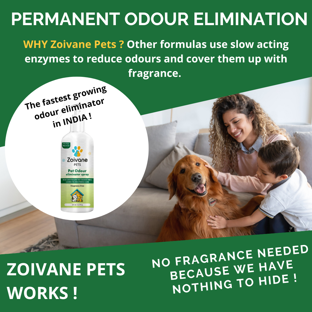 Pet Odor Eliminator Spray Fragrance-Free  - Effective, Non-Toxic, and Safe for All Surfaces - 1000ml