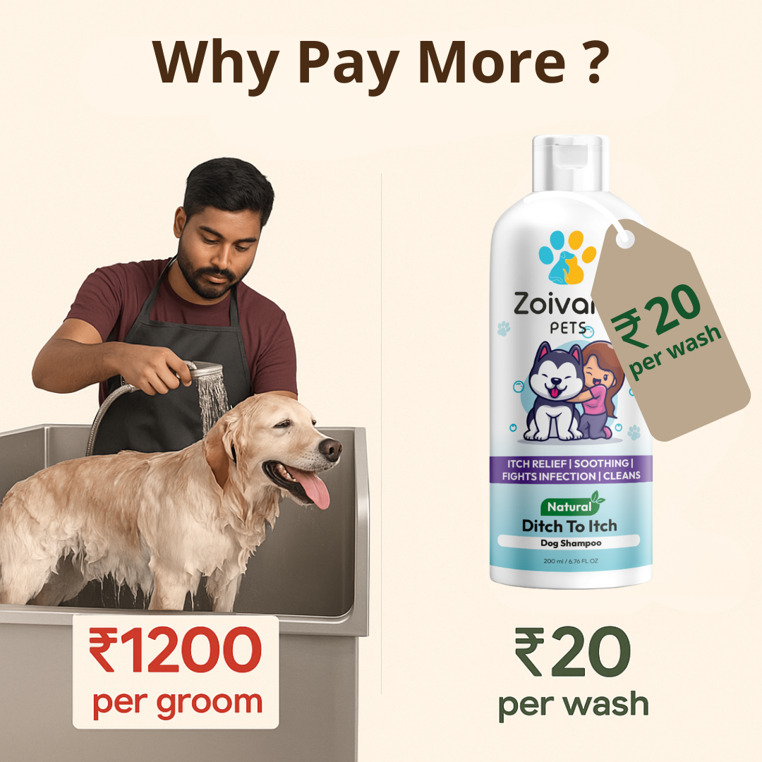 Zoivane Pets Dog Shampoo Trial Pack (6 x 30ml)