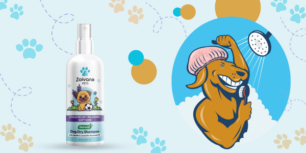 Is Dry Shampoo Safe for Dogs? 5 Things to Avoid