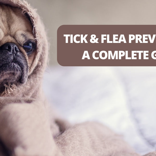 Best flea and tick prevention for pugs cheap