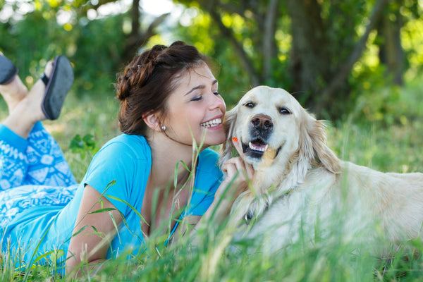 best summer care tips for dog 