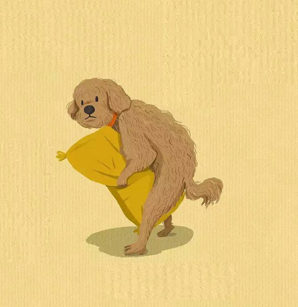 Humping in Dogs: Everything you need to know