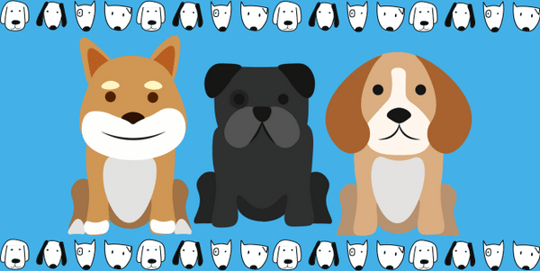 A Guide to Different Types of Dogs: Breeds, Characteristics, and Temperaments