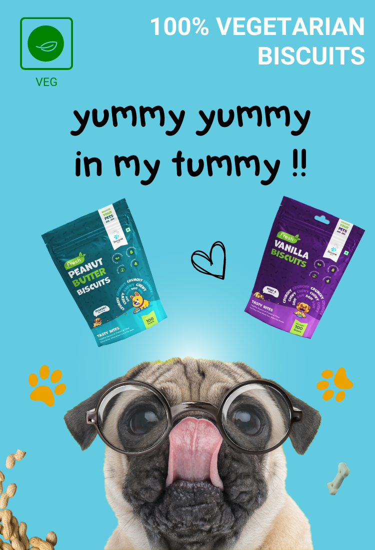 Busy b pet 2024 care