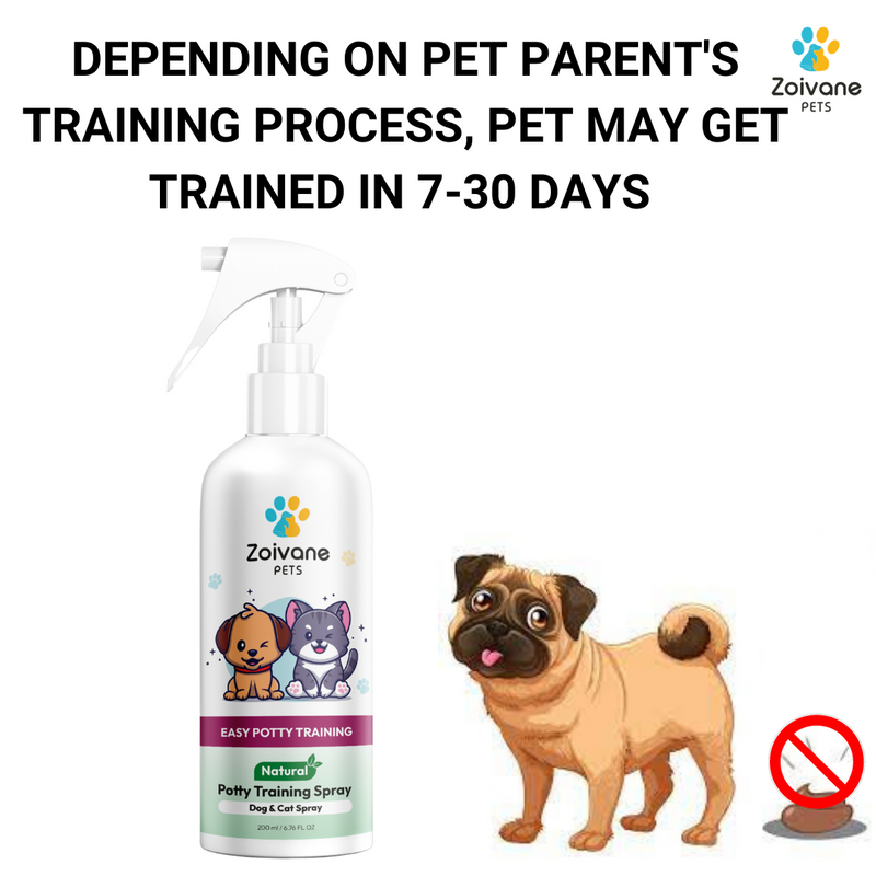 Potty Training Spray l Zoivane Pets