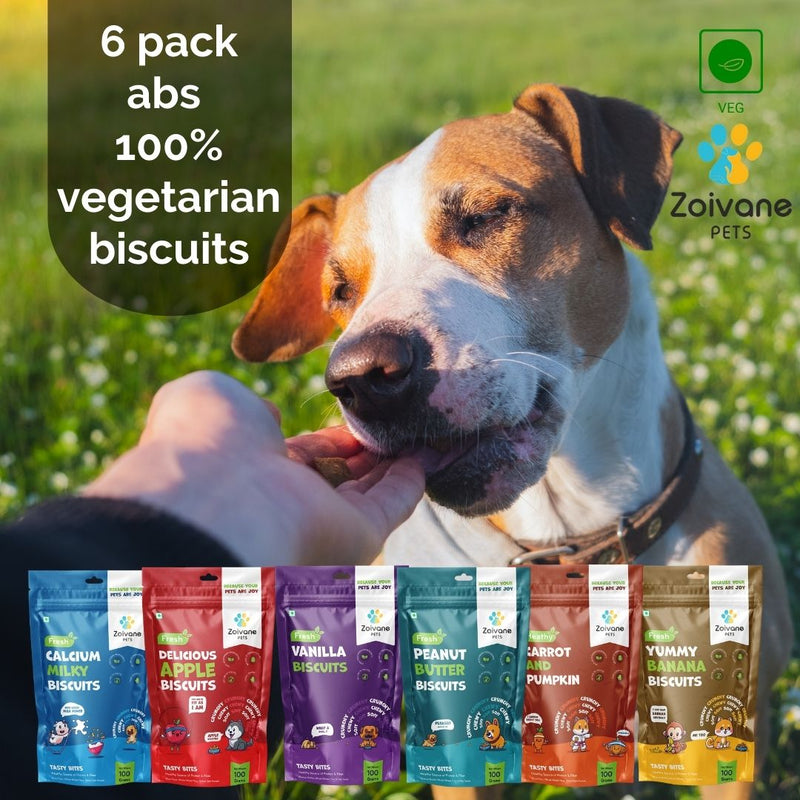 pack of 6- biscuits
