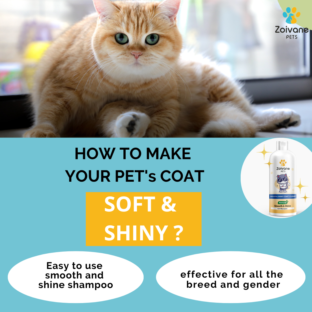 Smooth and Shine Cat Shampoo