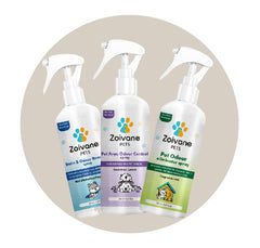 Home Cleaning Kit