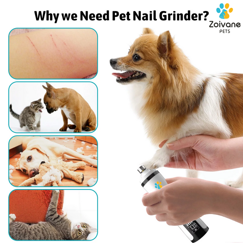 Safe pet nail trimmer hotsell