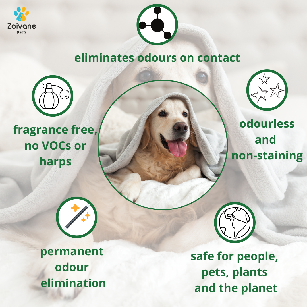 Pet Odor Eliminator Spray Fragrance-Free  - Effective, Non-Toxic, and Safe for All Surfaces - 1000ml