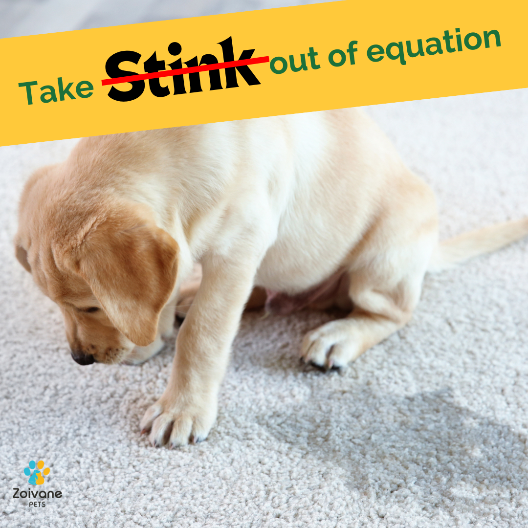 Pet Odor Eliminator Spray Fragrance-Free  - Effective, Non-Toxic, and Safe for All Surfaces - 1000ml