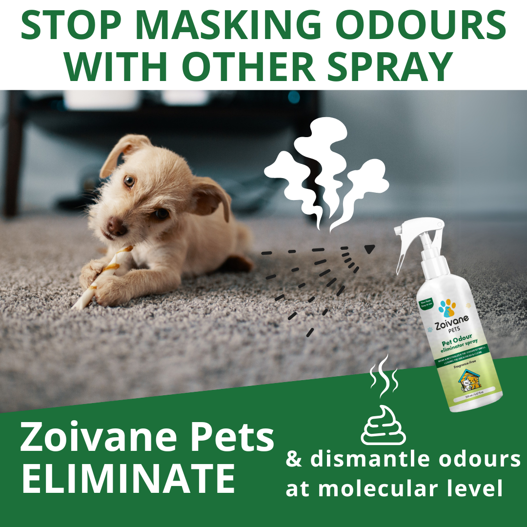 Pet Odor Eliminator Spray Fragrance-Free  - Effective, Non-Toxic, and Safe for All Surfaces - 1000ml