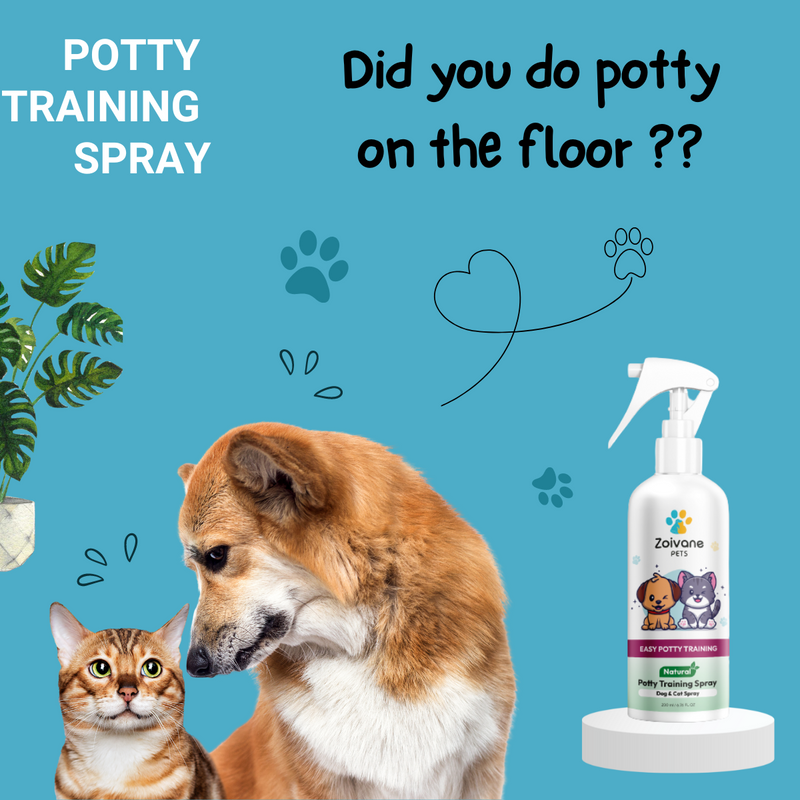 Best puppy online house training spray