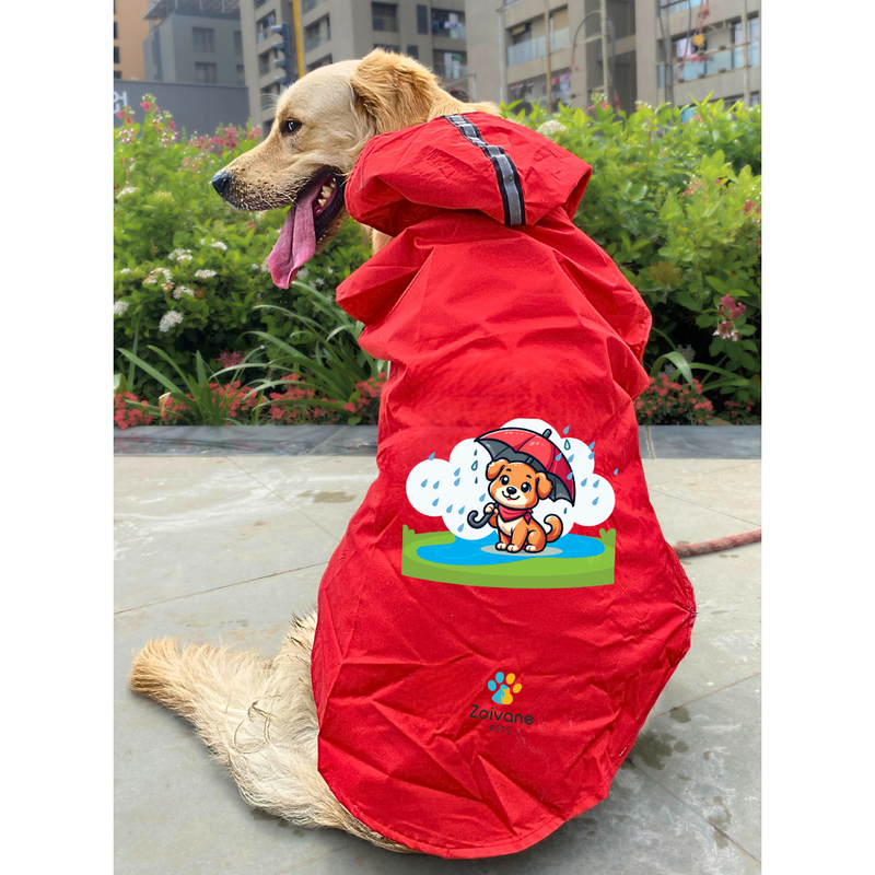Dog Raincoat XL Dogs Just Wanna Have Fun Printed Raincoat For Dogs Zoivane Pets