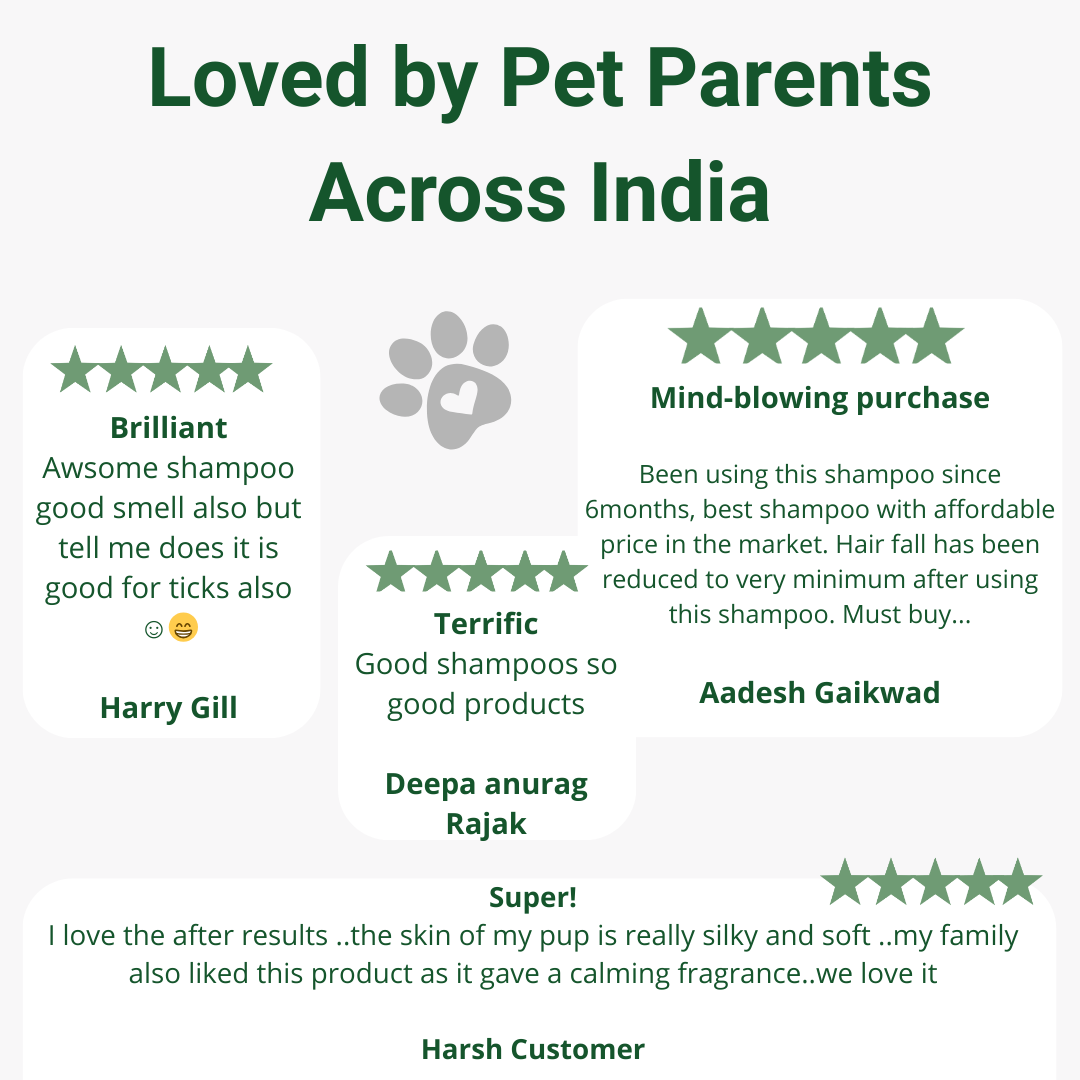Zoivane Pets Dog Shampoo Trial Pack (6 x 30ml)
