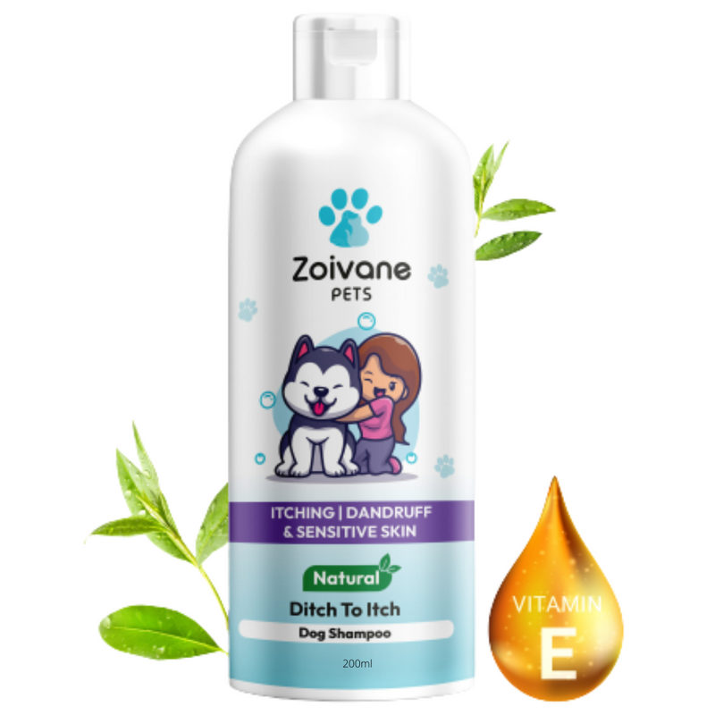 Homemade anti sales itch dog shampoo