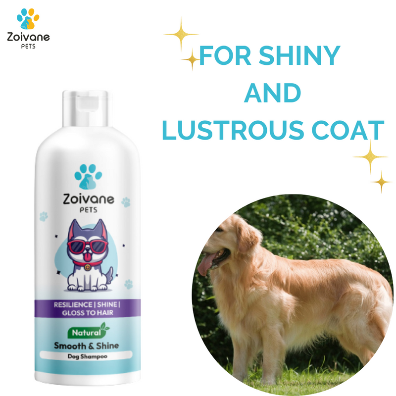 Smooth and Shine Shampoo for dogs