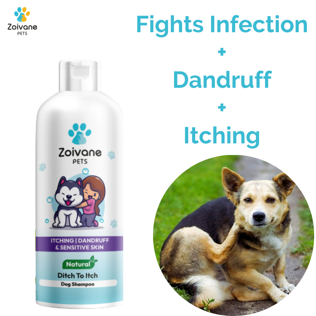Head and shoulders sales shampoo for dogs