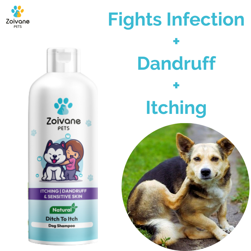 DITCH TO ITCH DOG SHAMPOO