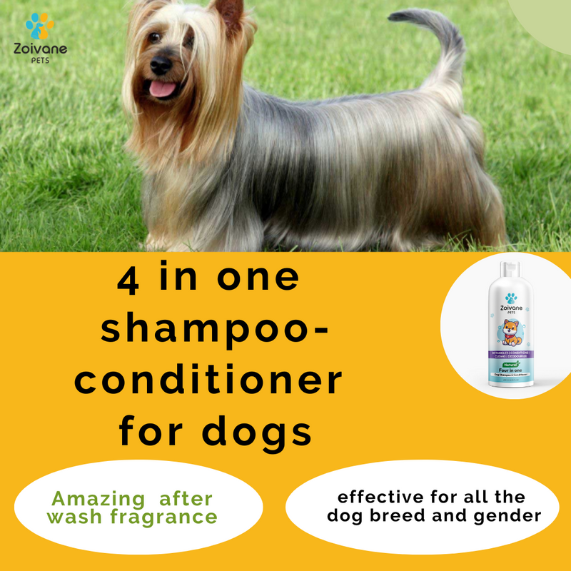 4 IN 1 DOG SHAMPOO AND CONDITIONER