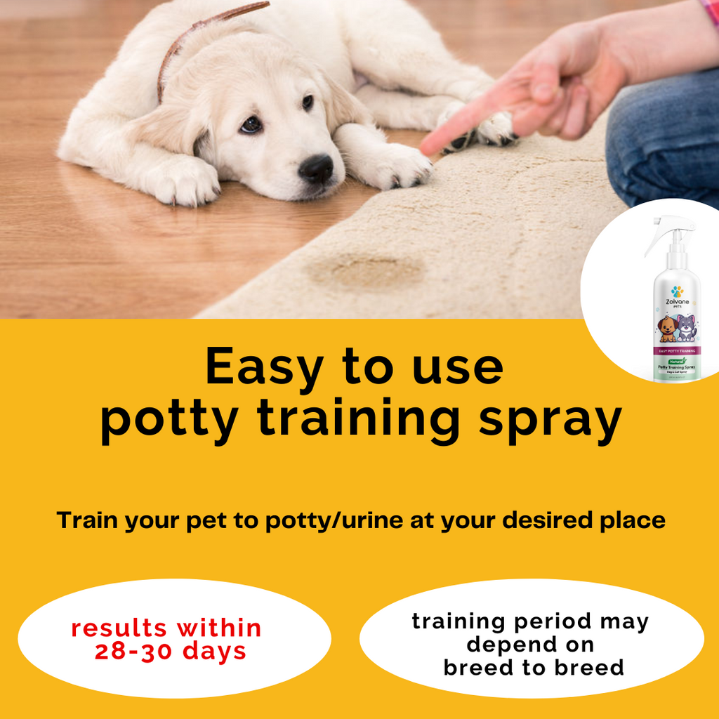 Dog clearance potty spray