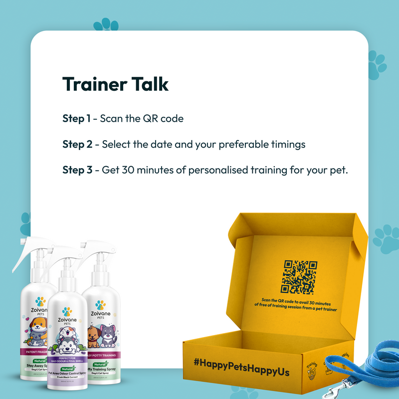 Pet Training Box