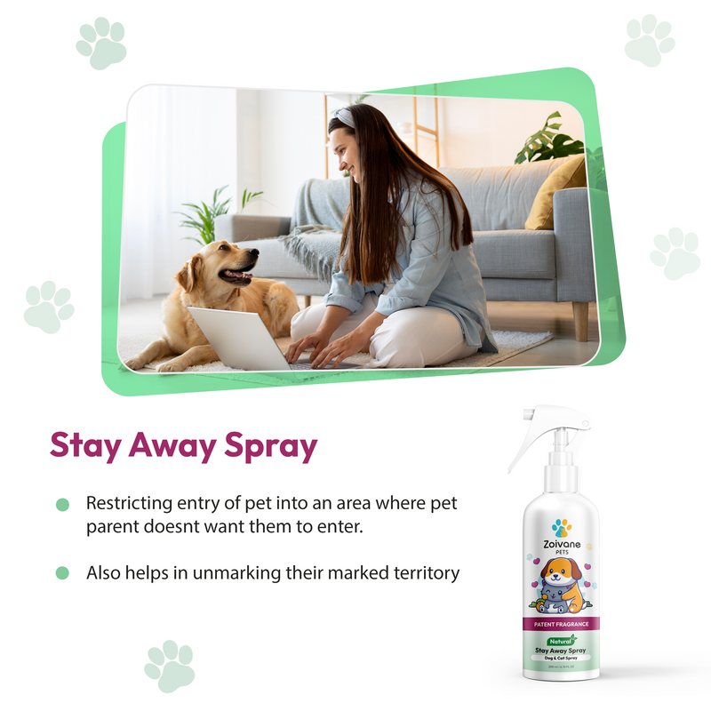 Dog stay away sales spray