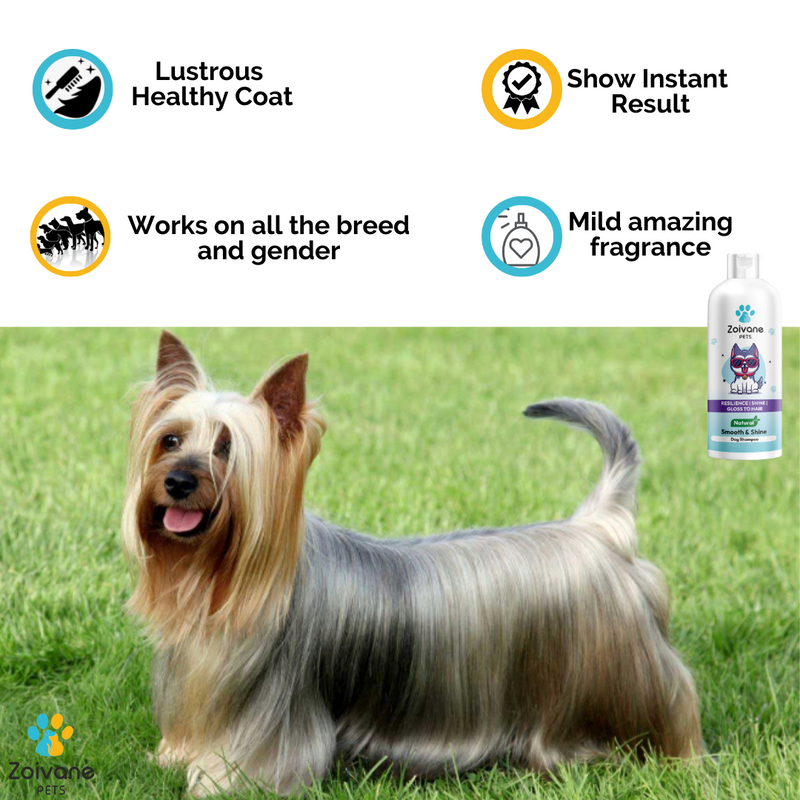 Yorkie shampoo hotsell