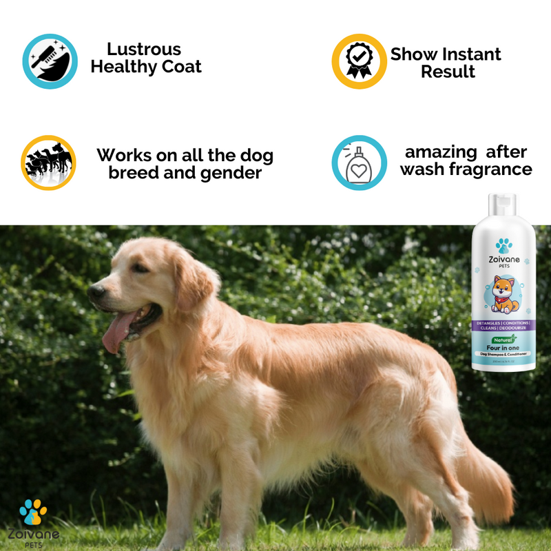 4 in 1 Shampoo Conditioner for dogs Zoivane Pets