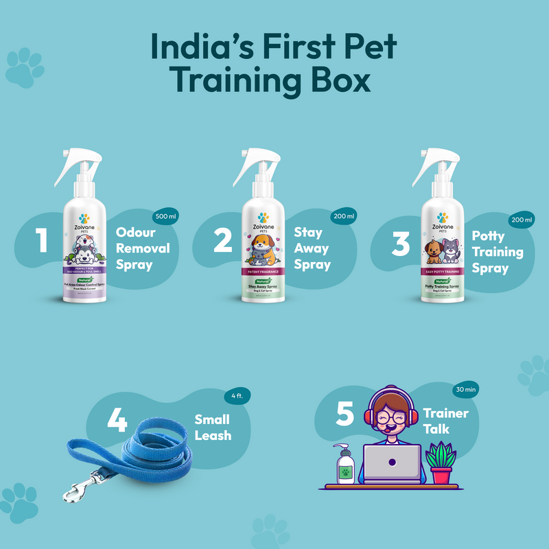 Pet Training Box