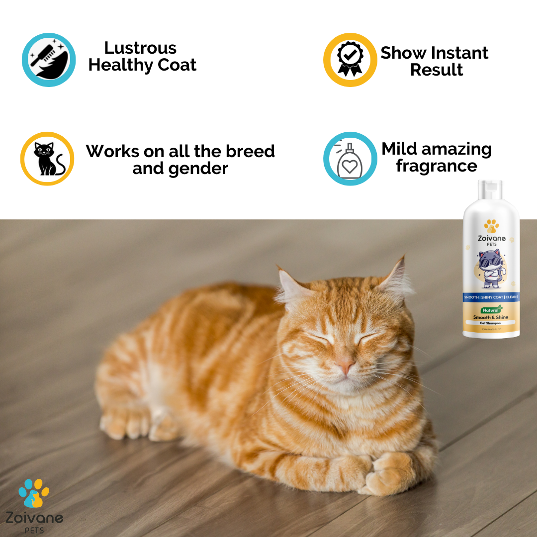 Smooth and Shine Cat Shampoo