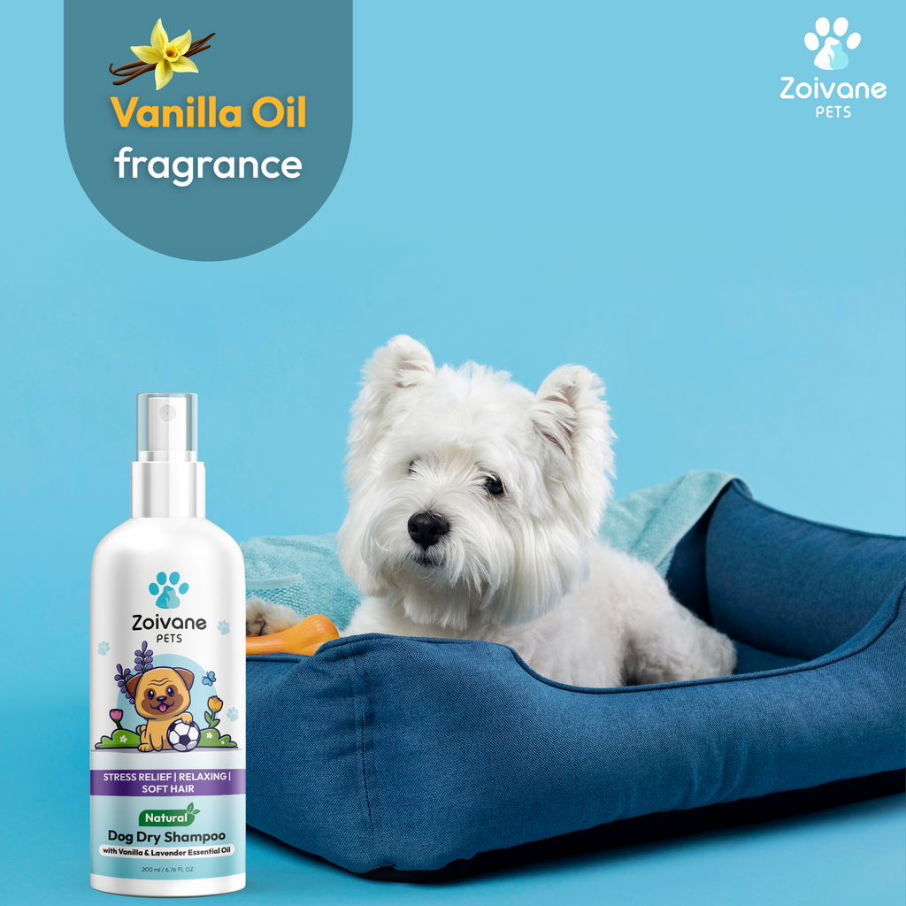 Dry shampoo for sales dogs