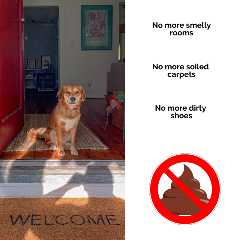 Stay Away And Potty Training Spray