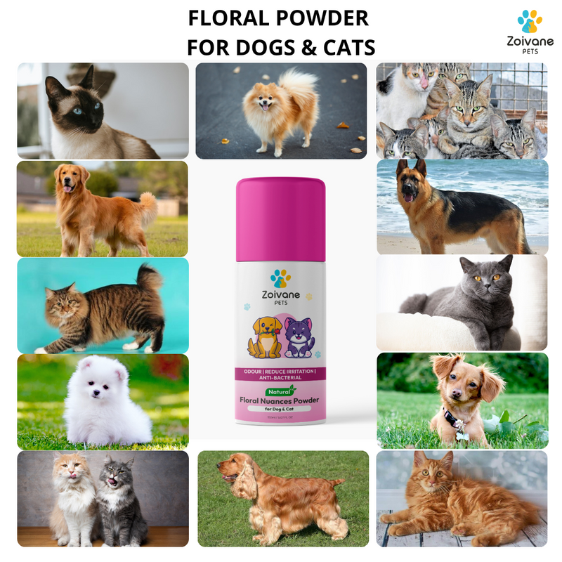 Floral Nuances Powder, 150 grams