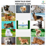 Neem Soap - Pack of 2