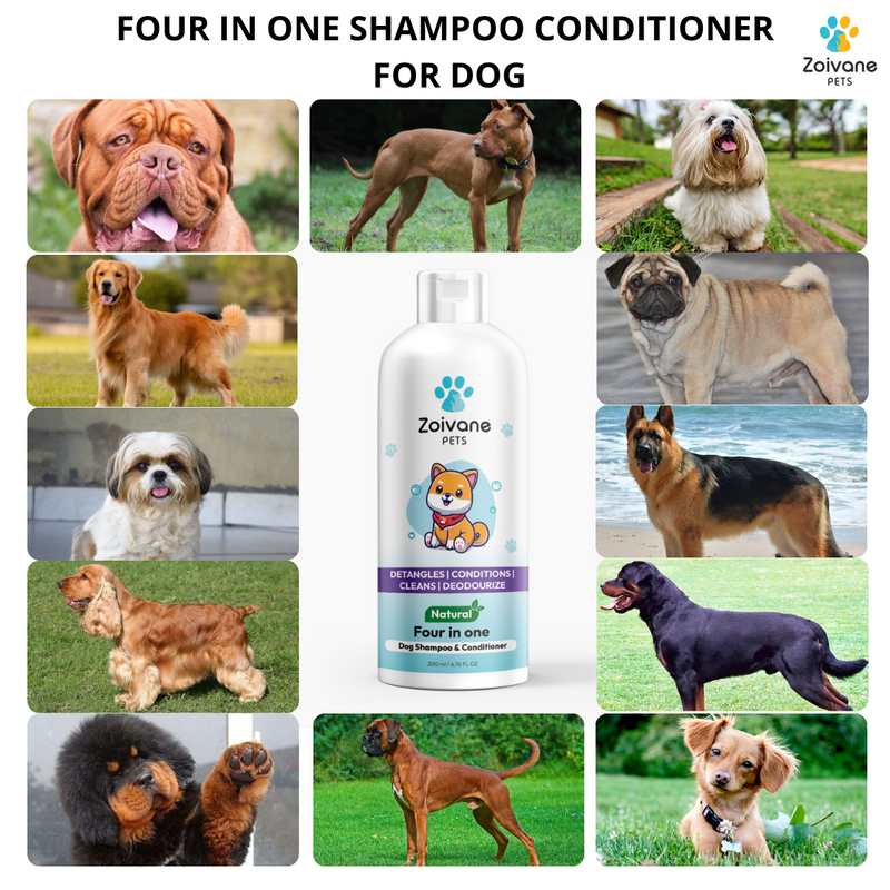 4 IN 1 DOG SHAMPOO AND CONDITIONER