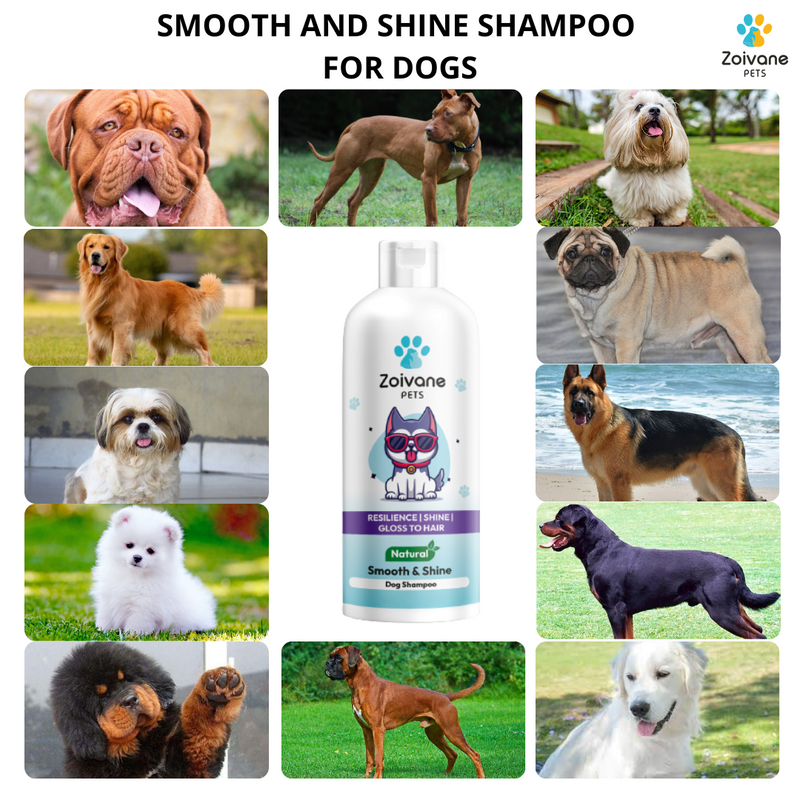 Smooth and Shine Shampoo for dogs