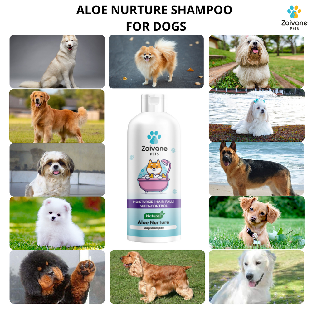 Dog hair fall control shampoo clearance