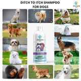 DITCH TO ITCH DOG SHAMPOO