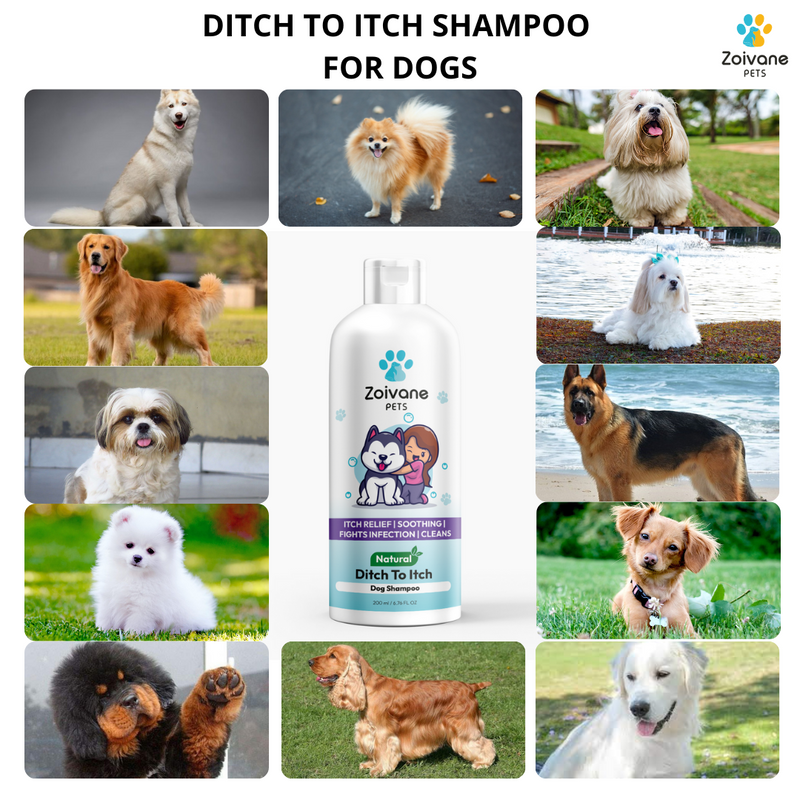 DITCH TO ITCH DOG SHAMPOO