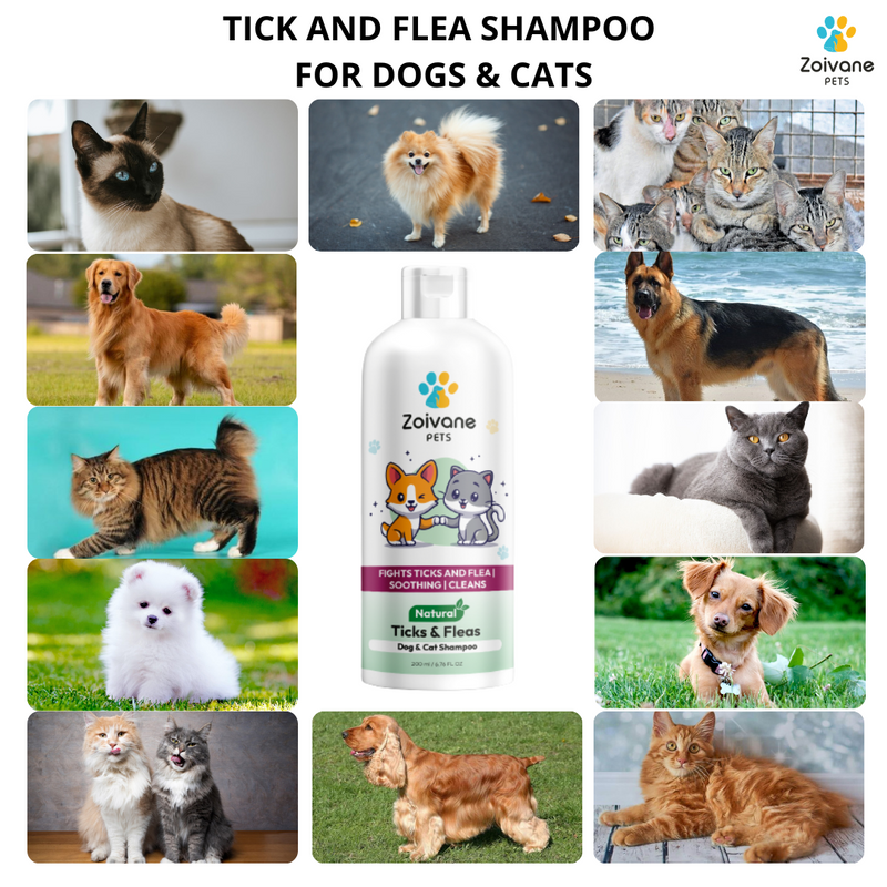 TICK SHAMPOO FOR DOGS - TICK AND FLEA DOG CAT SHAMPOO