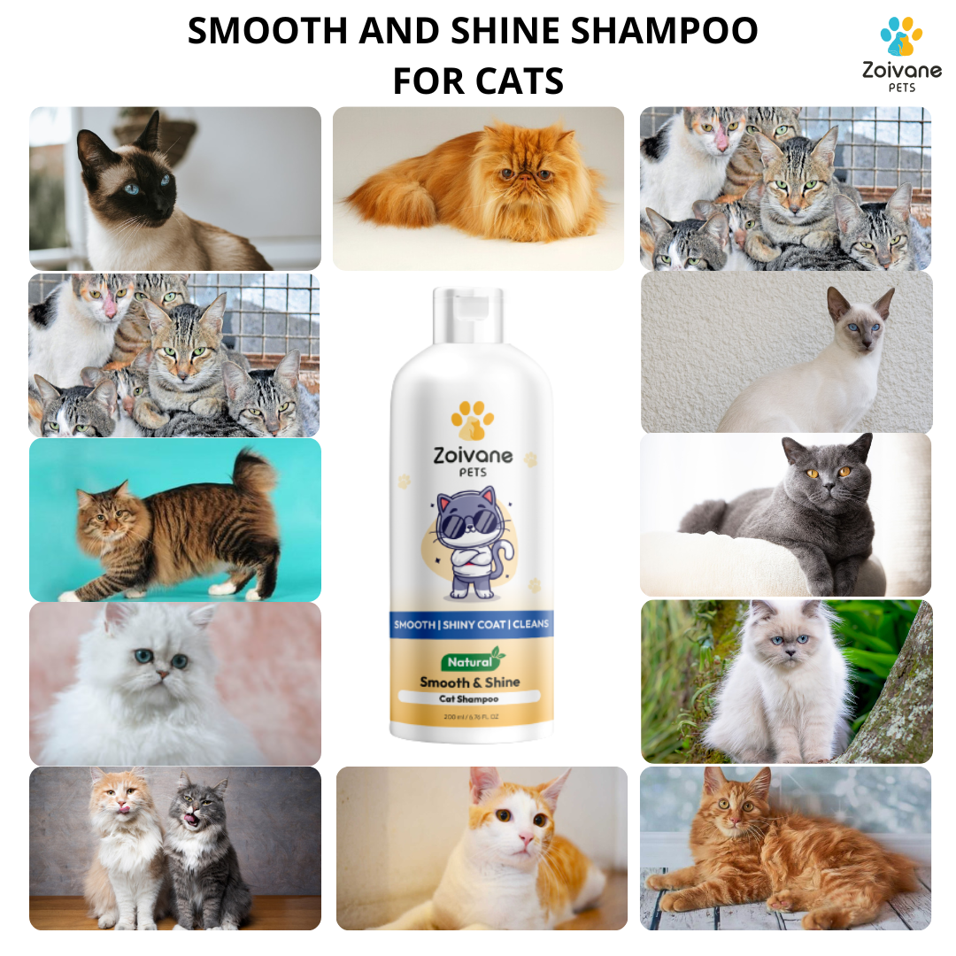 Smooth and Shine Cat Shampoo